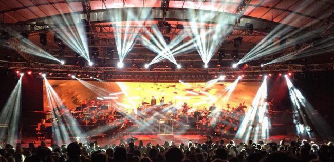 12080468_197329943935042_580986096_n