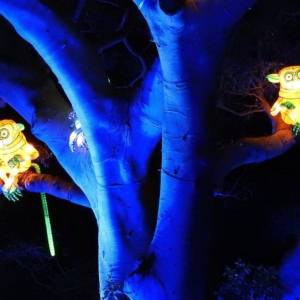 Mandylights Vivid 1
