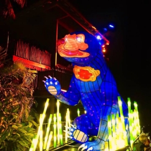 Mandylights Vivid 2