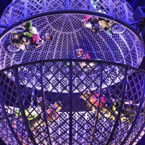 The-Great-Moscow-Circus-4