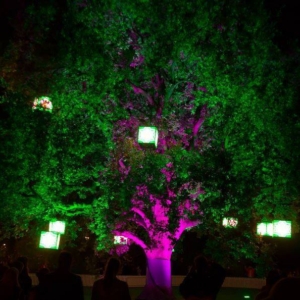 White-Night-1