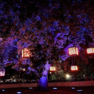 White-Night-12