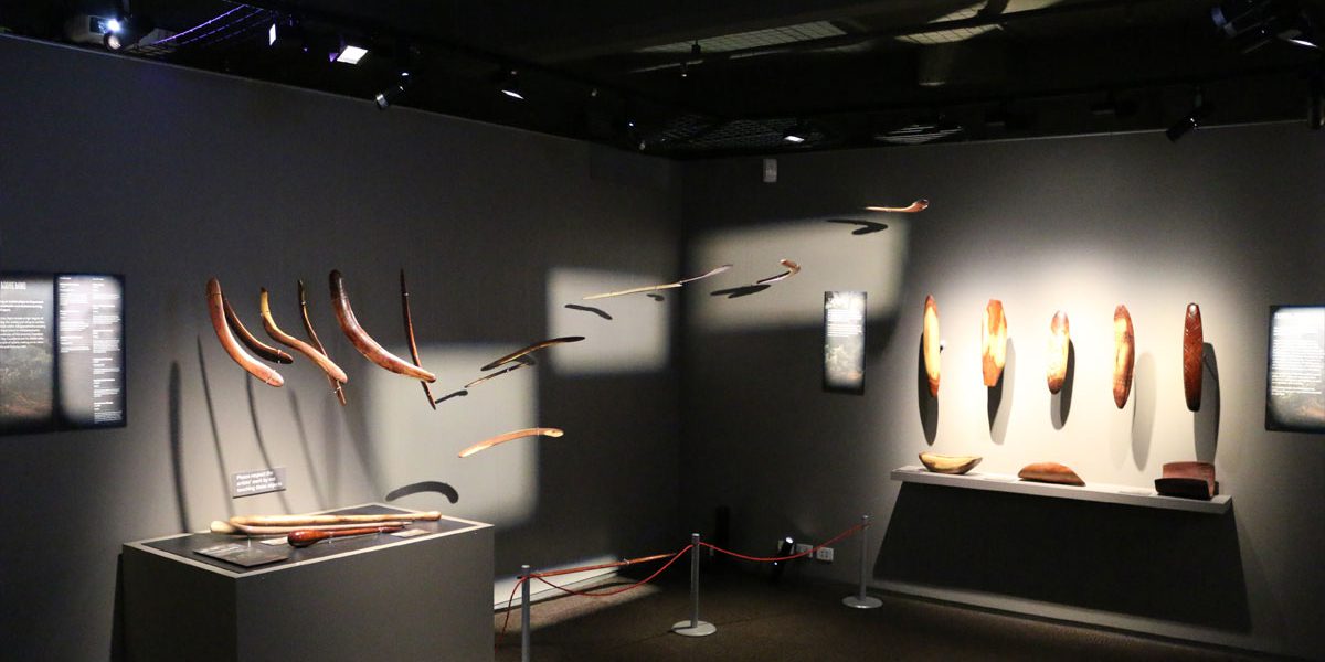 Yurtu Ardla exhibition showing panel framing and object framing.