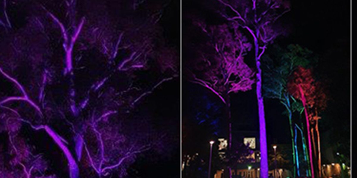 Scion Audio and Events 8