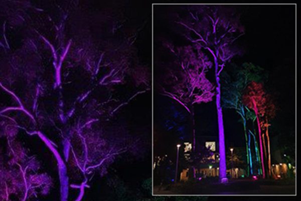 ShowPRO Fusion wash light up The University of Newcastle