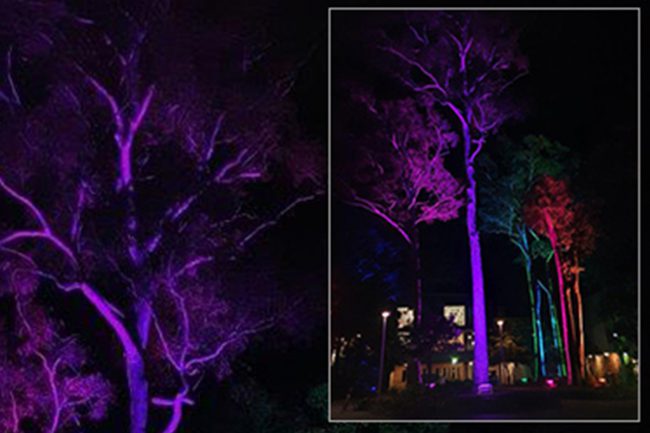 Scion Audio and Events 8