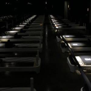 1R-gym1-1024×596