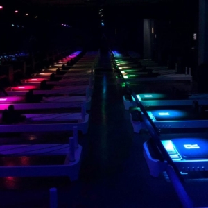1R-gym9-1024×596