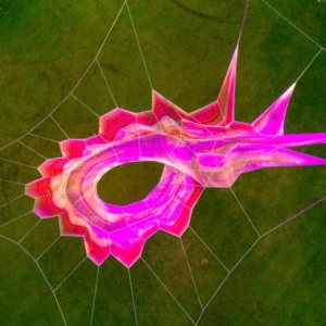 Aus-Echelman-photo-9-1024×596