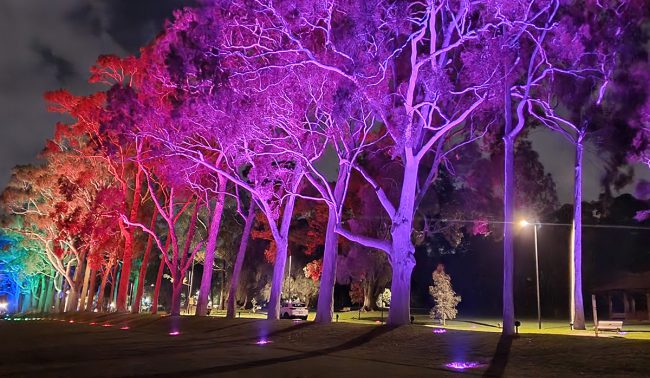 Kings-Park-photo-M-Bancroft