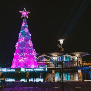 Geelong-floating-christmas-tree-2-1024×596