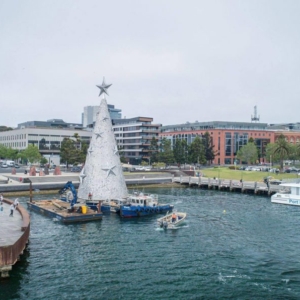 Geelong-floating-christmas-tree-6-1024×596