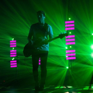 Wombats3-1024×596