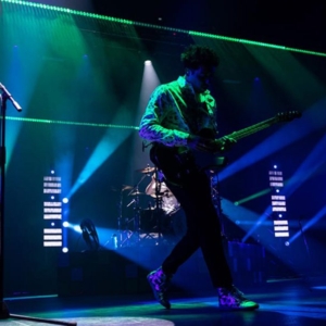 Wombats4-1024×596