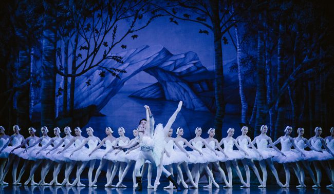 Swan-lake-2