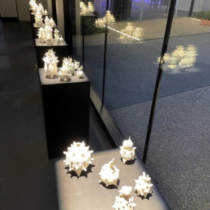 Belconnen-Arts-Centre-Gallery5