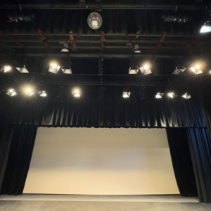 Swan-Park-Theatre-6