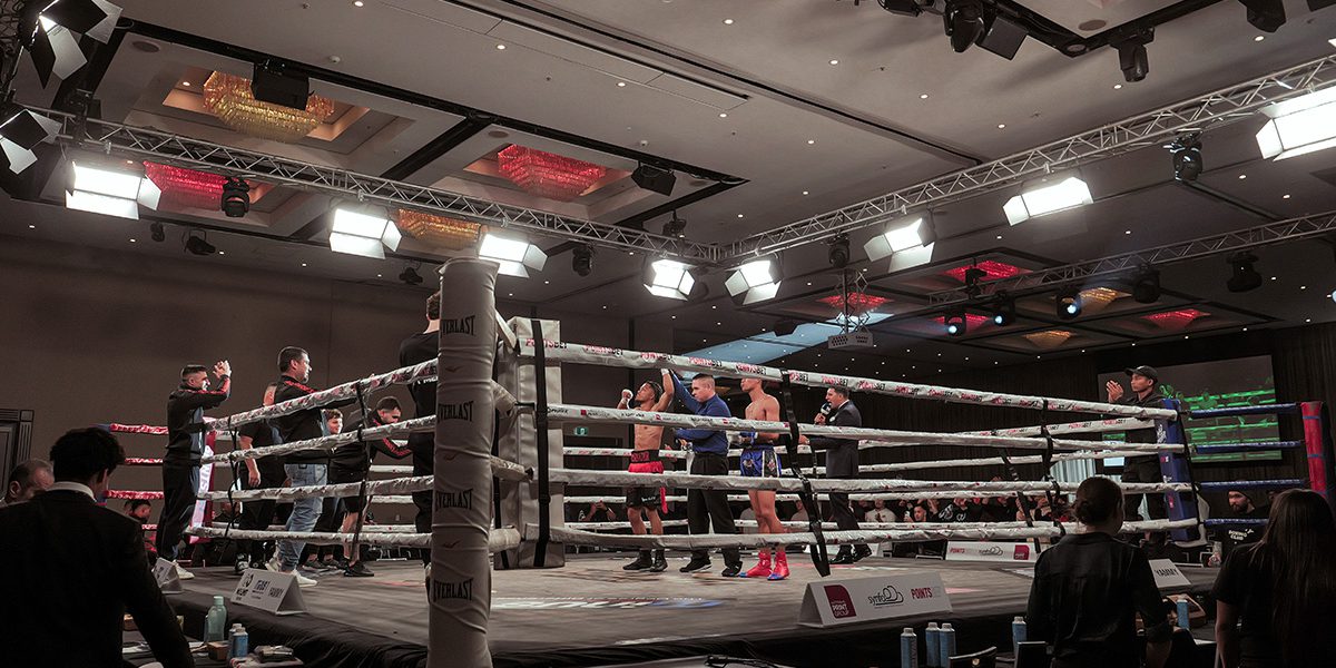 Prolights-Packs-a Punch