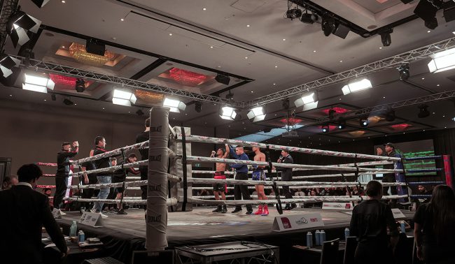 Prolights-Packs-a Punch