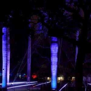 Lightscape-1200×600