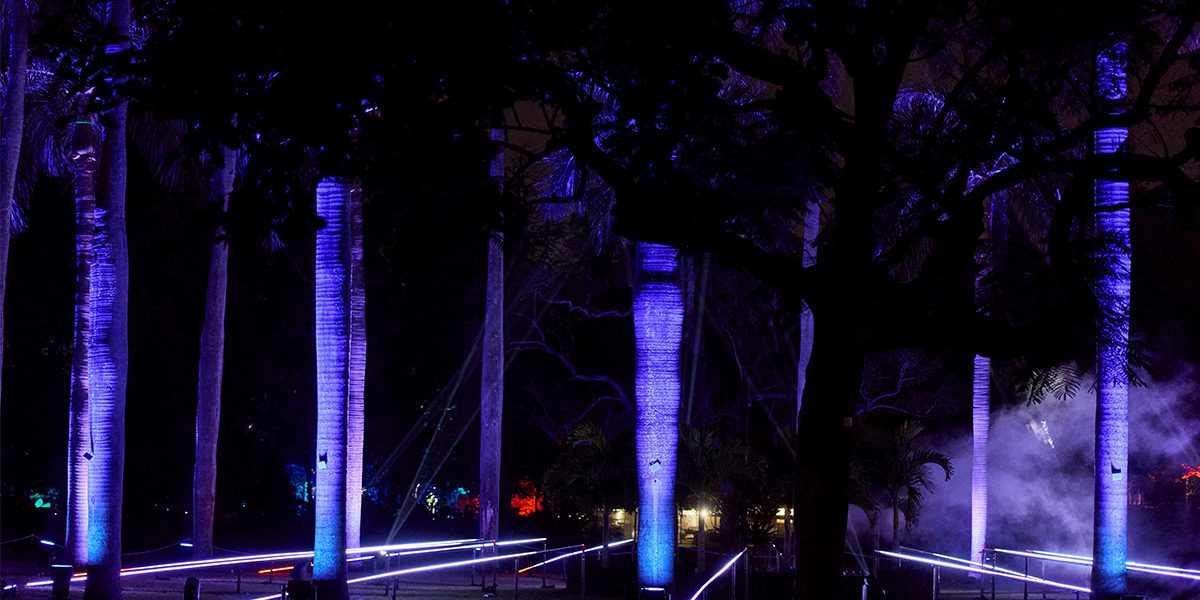 Lightscape