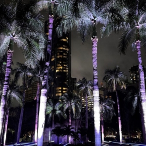Lightscape-3