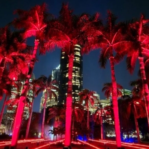 Lightscape-5