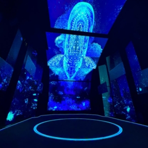 World-Expo-7-768×1024