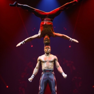 Cirque-Alice-12-734×1024