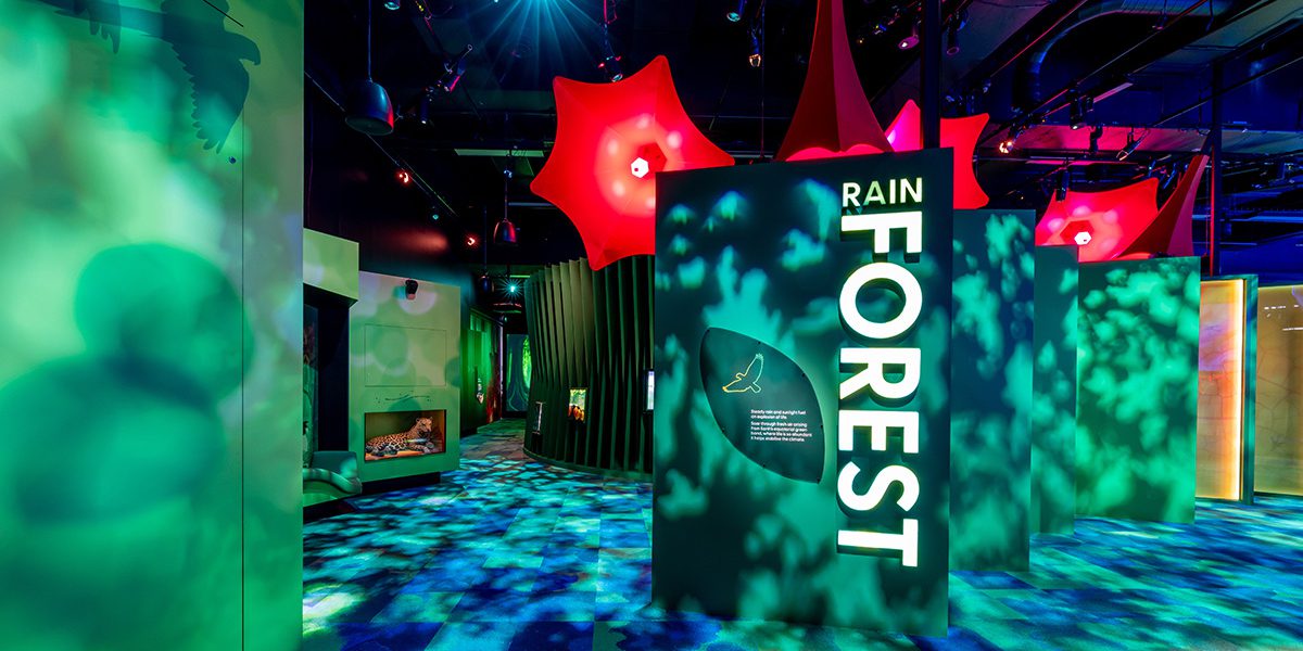 Our Wonderous Planet 7