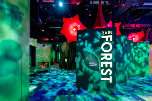 Additive Create Wonderous Lighting for New Exhibition