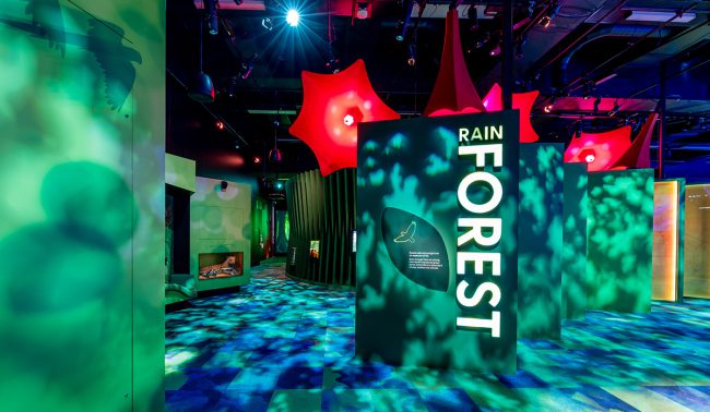 Our Wonderous Planet 7